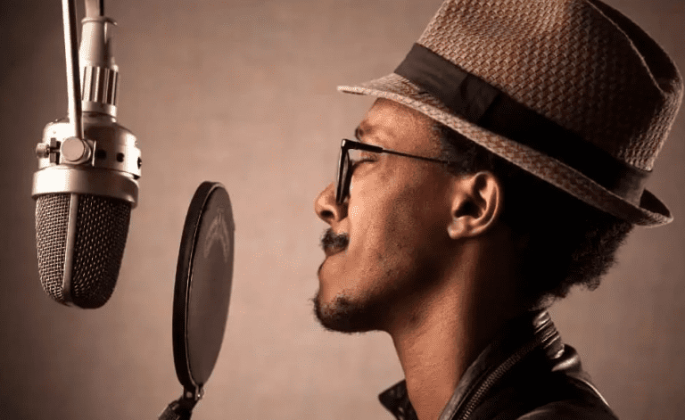 What is a Condenser Microphone?