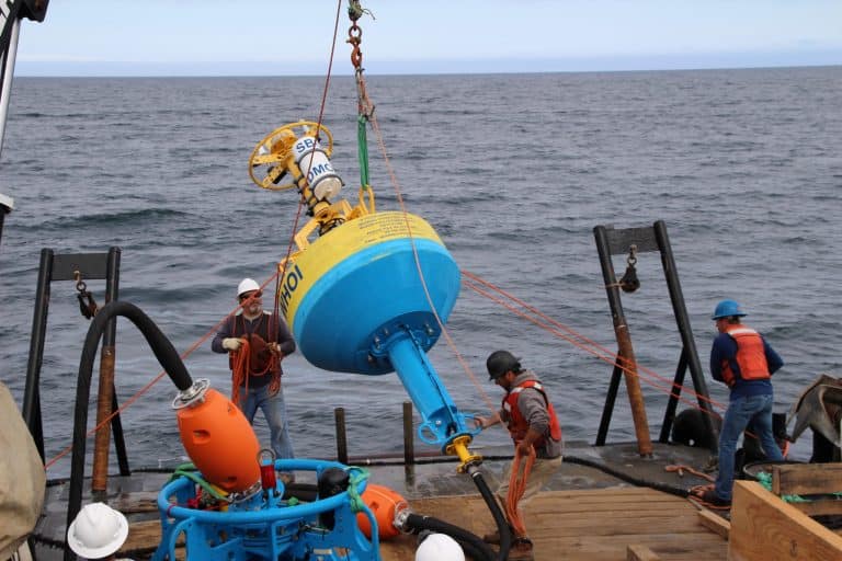 An Underwater Microphone in the Pacific Ocean is Helping Prevent Whale-Ship Collisions