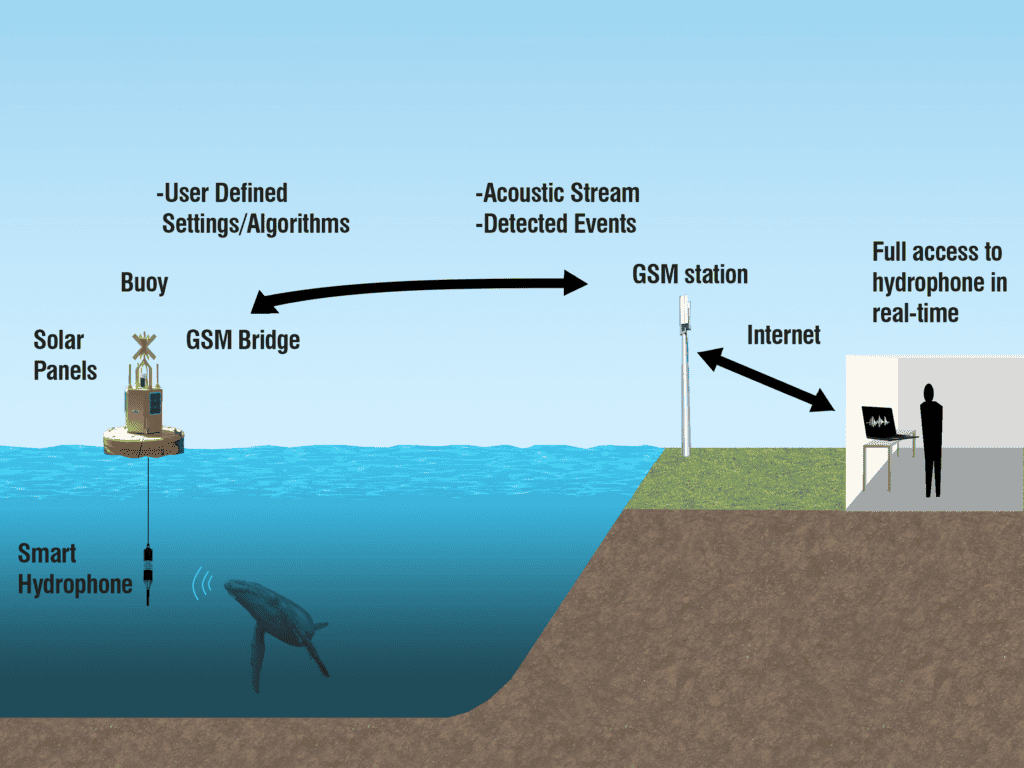How Do Underwater Microphones Work? (Complete Guide to Hydrophones)
