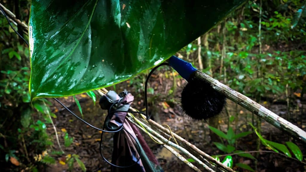 Microphones in Science: A Complete Overview