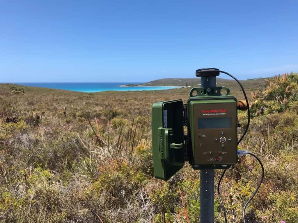 Microphones in Science: A Complete Overview