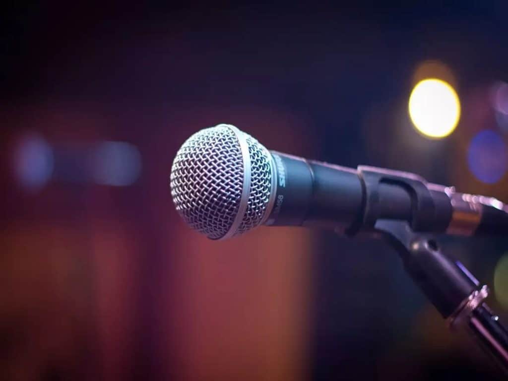 6 Applications of Dynamic and Condenser Microphones
