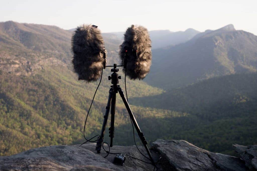 A Guide to Stereo Recording in Field and Nature Soundscapes