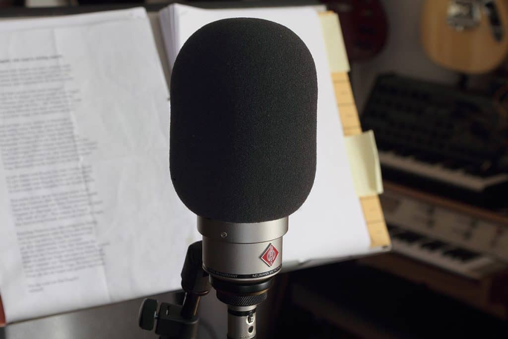 Metal vs Fabric Pop Filter: Pros and Cons