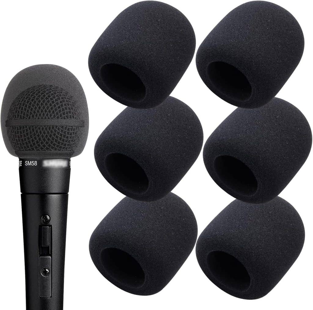 How to Choose Windscreens for Outdoor Recording