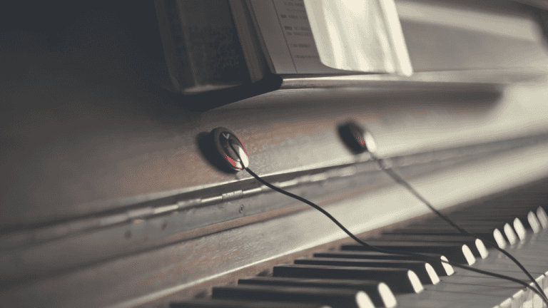 6 Best Uses for Contact Microphones in Field Recording